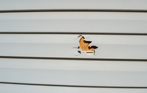 Cost of Siding Hole Repair in Vancouver