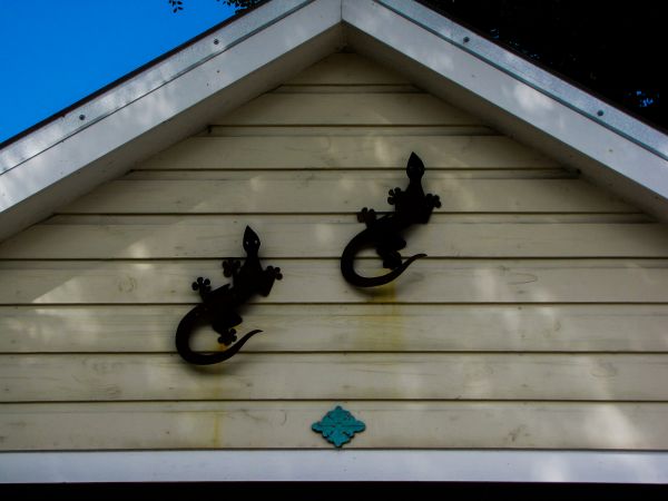 Cost of Shiplap Siding Installation in Vancouver